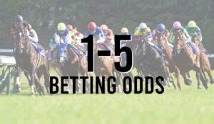 what does 1/5 odds mean|1/5 Odds .